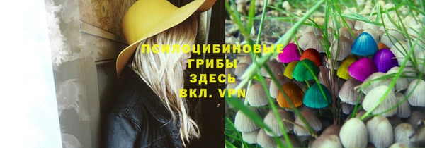 круглые Алексин
