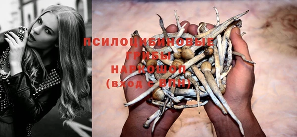 PSILOCYBIN Алексеевка