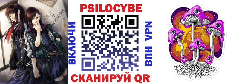 Псилоцибиновые грибы Magic Shrooms  купить закладку  Новочеркасск 